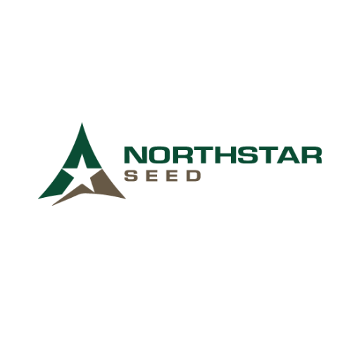 Northstar Seed 500